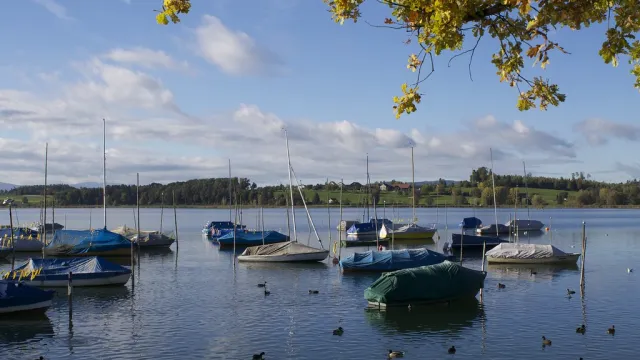 Pfäffikon Pfäffikon