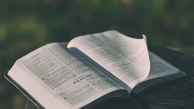 bible-1846174_1920 (Foto: Pexels/pixabay) bible-1846174_1920 (Foto: Pexels/pixabay)