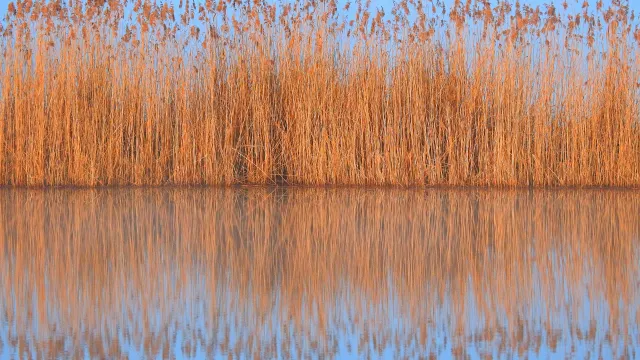 Bild Meditation (Foto: Lukas Kadava - unsplash) Bild Meditation (Foto: Lukas Kadava - unsplash)