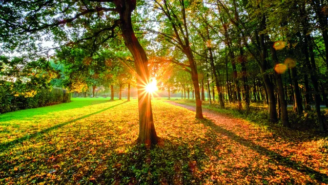 Herbstlicht Maria Mark Herbstlicht Maria Mark