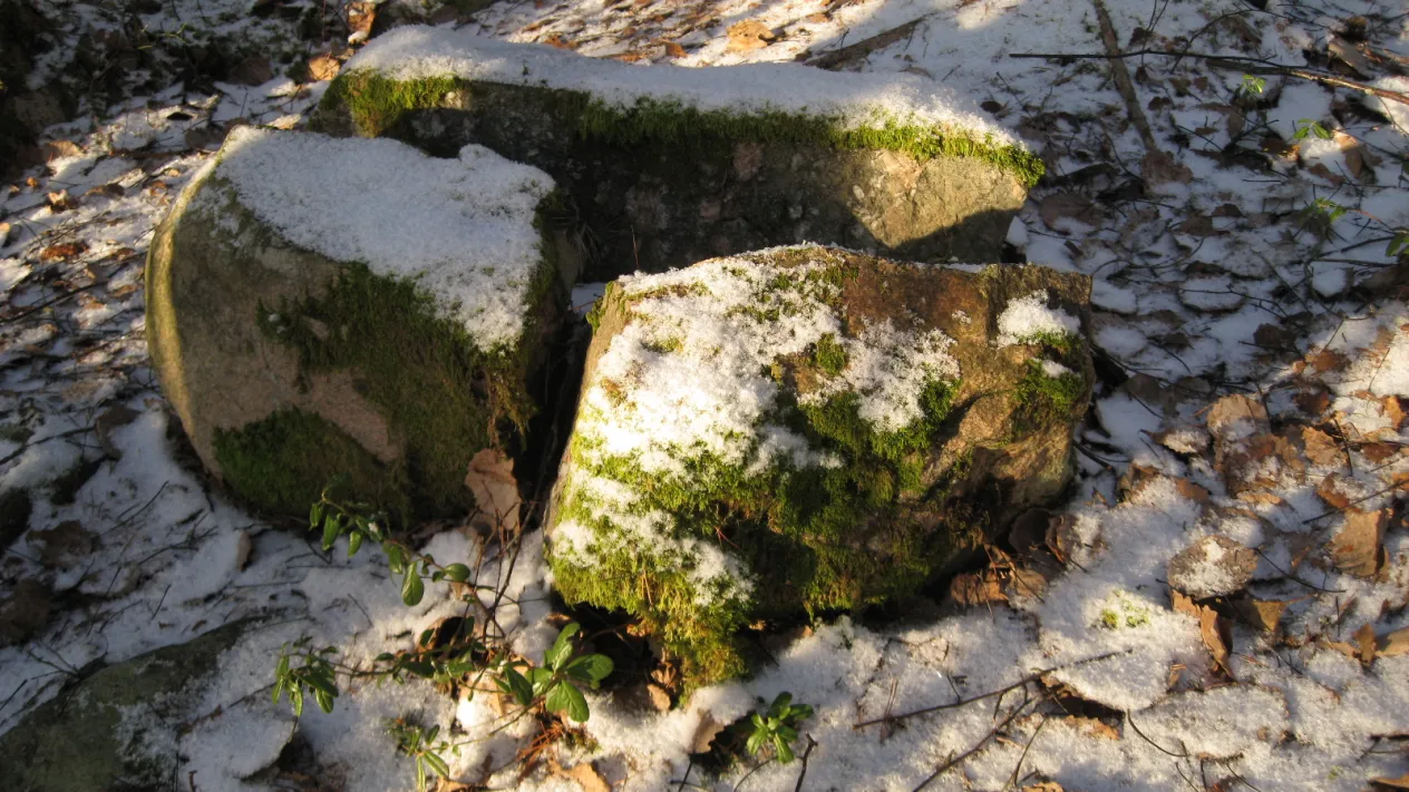 Meine Bilder (Foto: Monika Kaspar) Meine Bilder (Foto: Monika Kaspar)