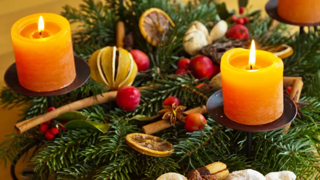 Meine Bilder (Foto: bilderbox) Meine Bilder (Foto: bilderbox)