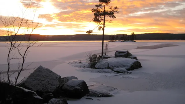 Meine Bilder (Foto: Monika Kaspar) Meine Bilder (Foto: Monika Kaspar)
