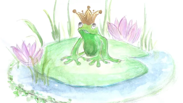 Bild Froschkönig (Foto: Katharina Maier-Boesch) Bild Froschkönig (Foto: Katharina Maier-Boesch)